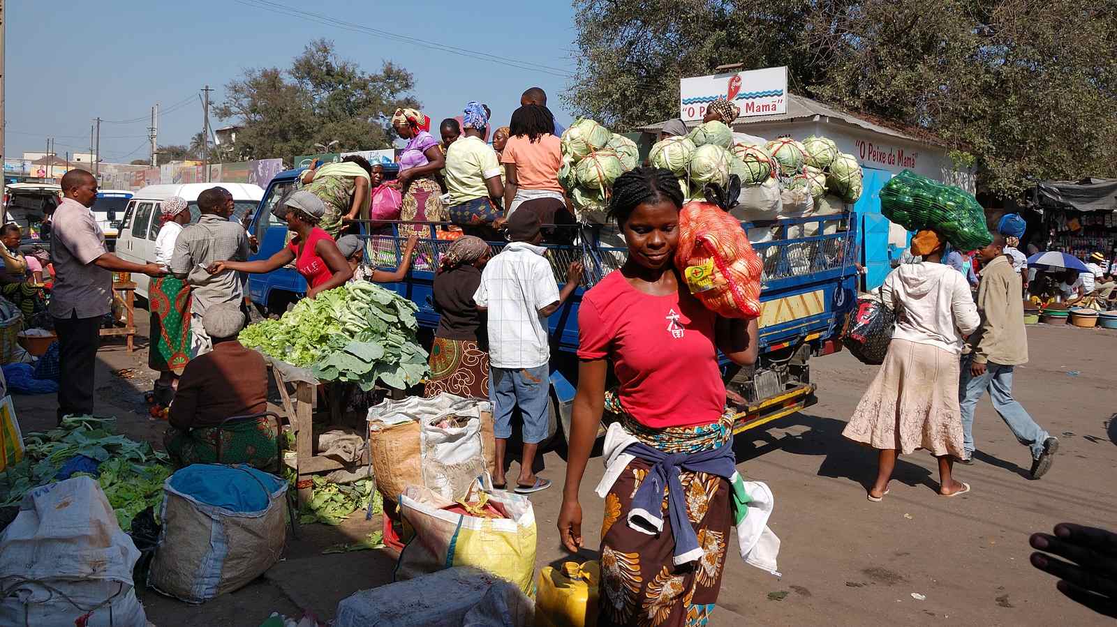 ONU alerta para agravamento de preços de alimentos em Moçambique