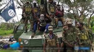 Terroristas matam dois caçadores – Home