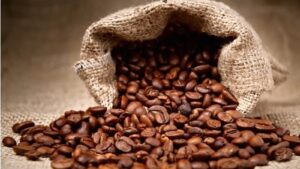 Café da Gorongosa classificado como “Excelente” pelos especialistas europeus