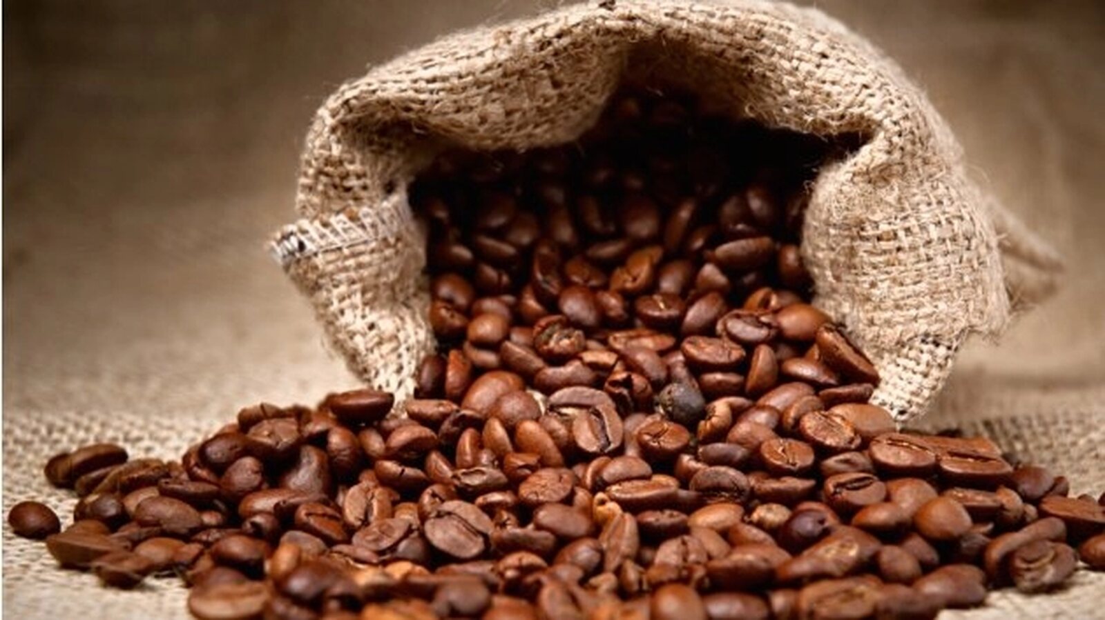 Café da Gorongosa classificado como “Excelente” pelos especialistas europeus