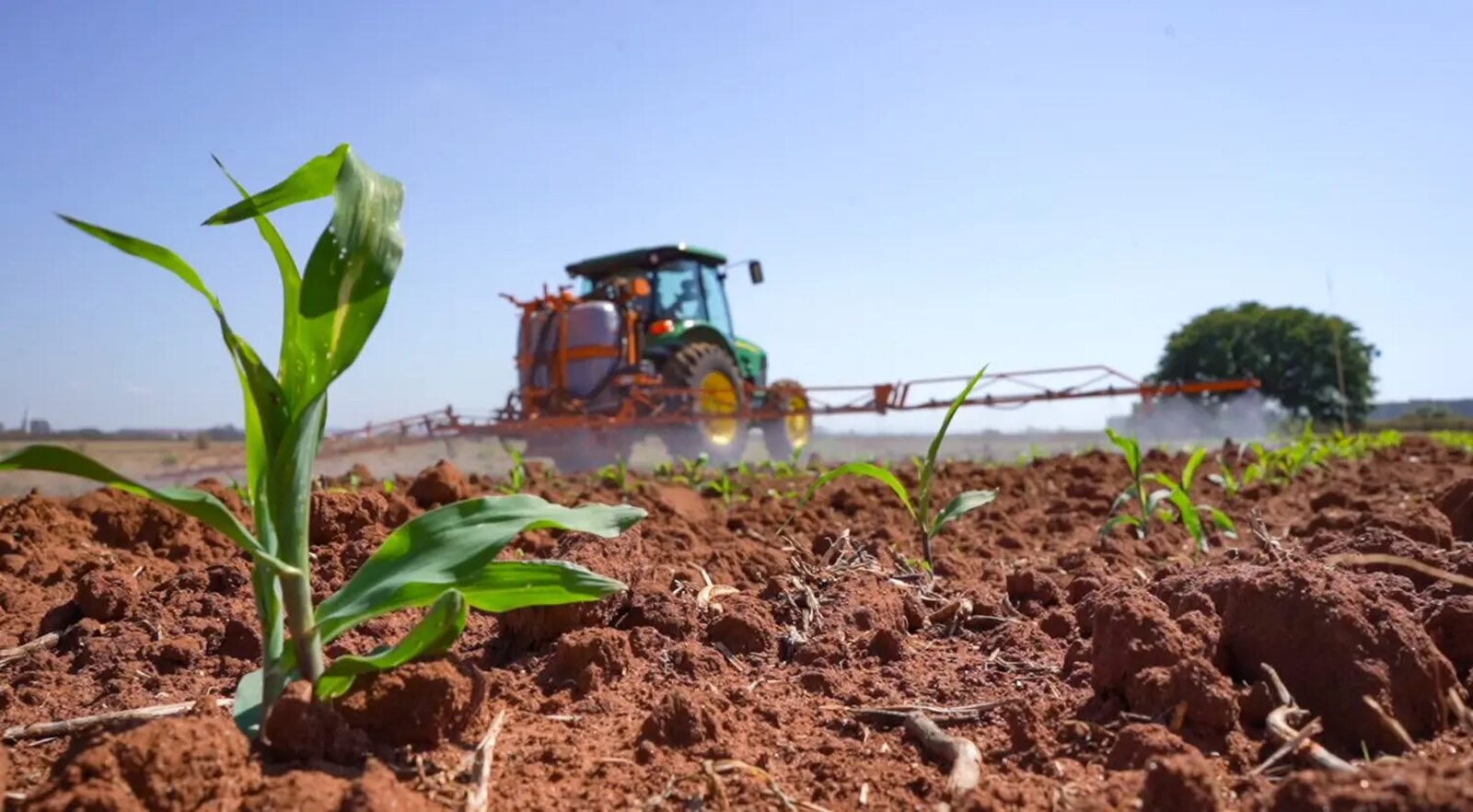 Défice de extensionistas compromete a produtividade agrícola em Manica