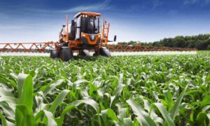 Ministério da Economia lança Campanha de Comercialização Agrícola 2026 em
