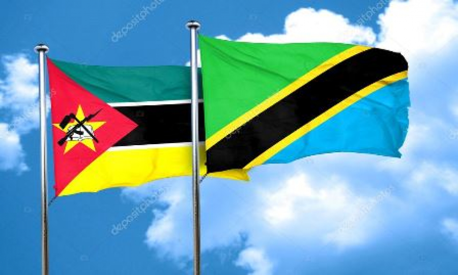 Moçambique e Tanzânia trocam experiências sobre acções climáticas antecipadas