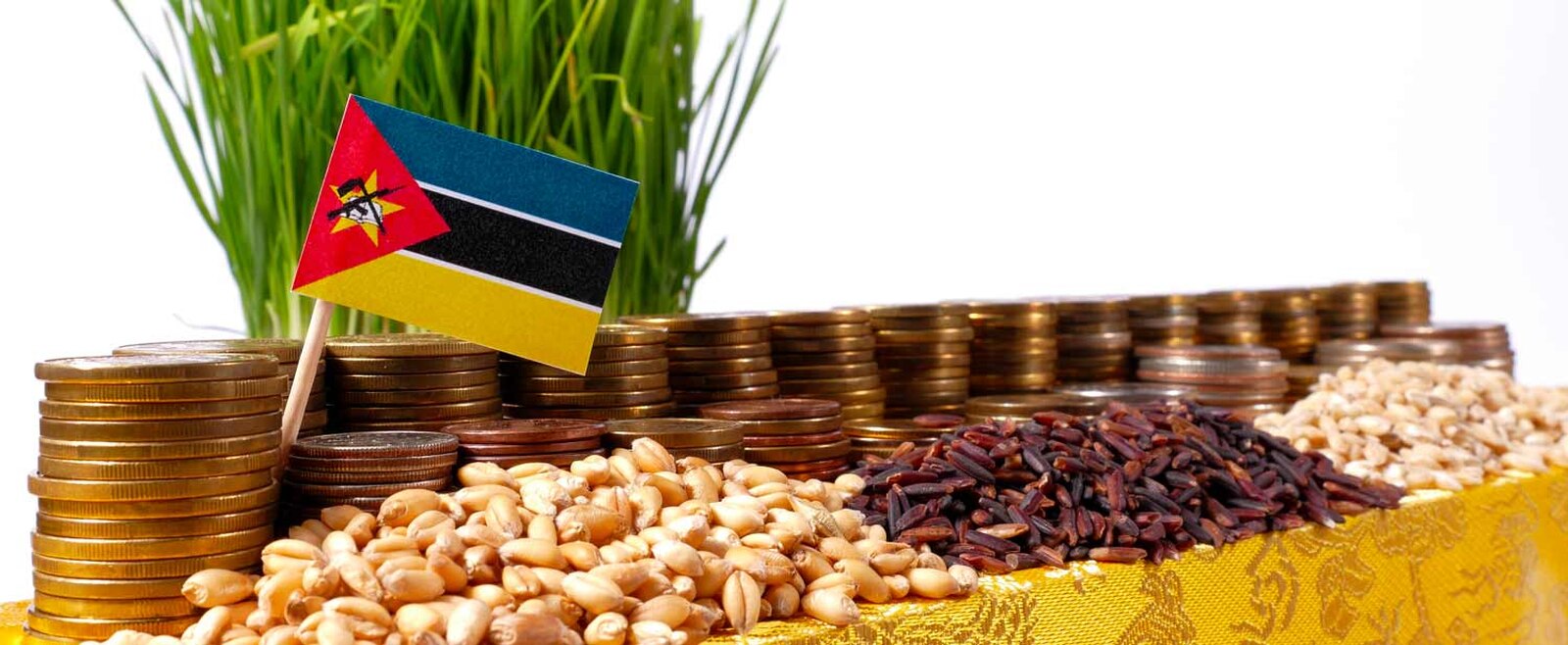 Moçambique prevê investimento de mil milhões de dólares para impulsionar