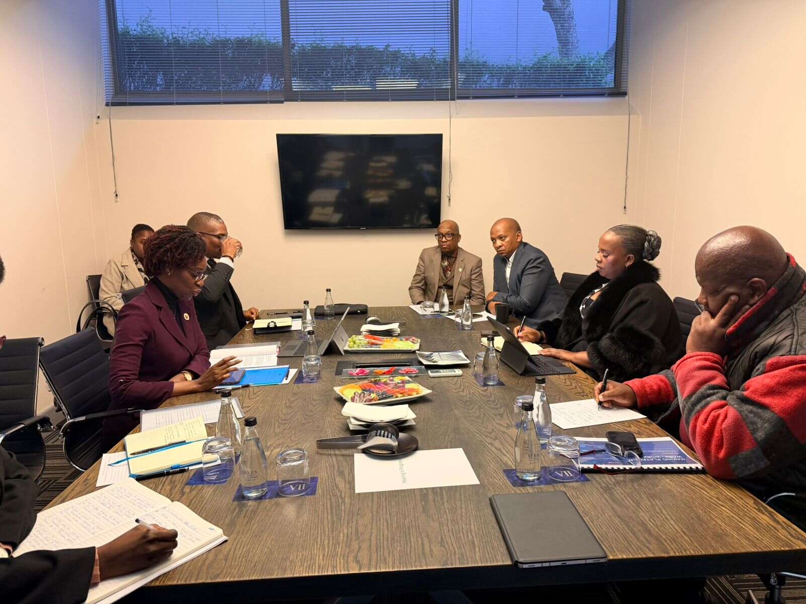 Moçambique recebe garantias do Governo sul africano para estancar xenofobia