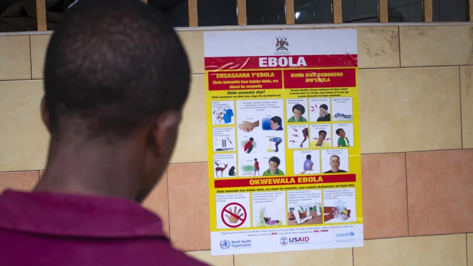 Novo surto de ébola declarado no leste da RDC coloca