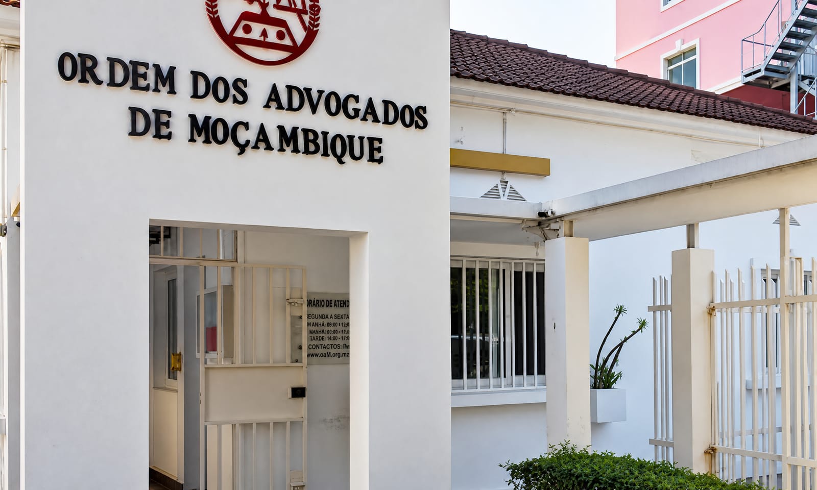 Ordem dos Advogados de Moçambique condena assassinatos políticos e exige