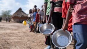 Gaza avalia situação da segurança alimentar em cinco distritos da