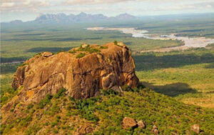 Governo do Niassa levanta suspensão da direcção da Reserva Especial