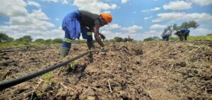 “Moçambique deve estar preparado para enfrentar El Niño” – alerta