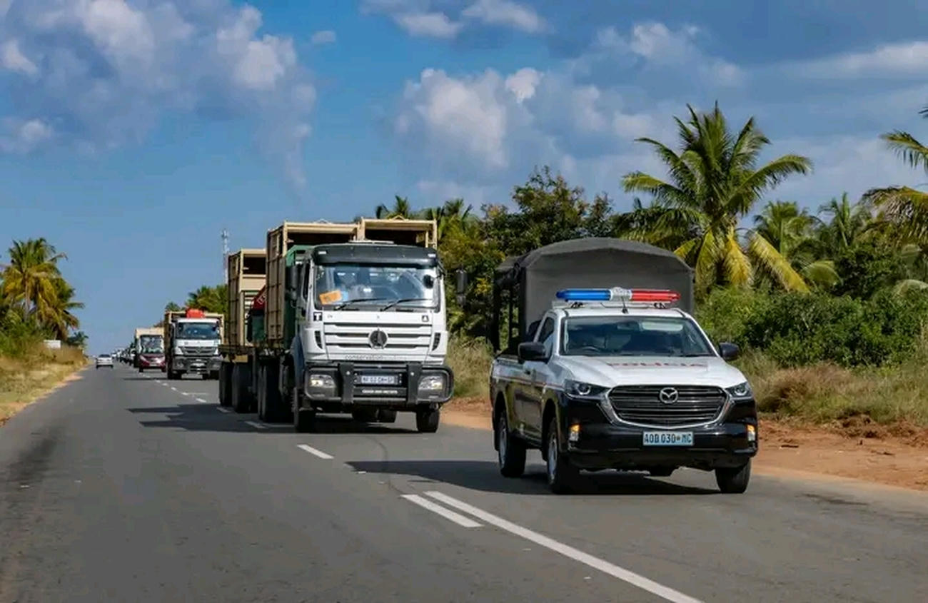 Parque Nacional de Zinave recebe 9 rinocerontes brancos para impulsionar