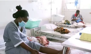 Sector da Saúde regista queda de mortes maternas na Província