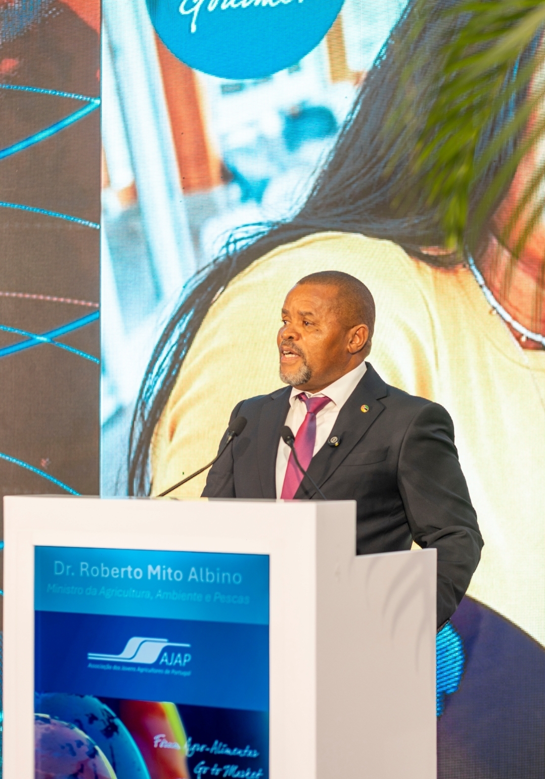 Governo quer transformar Moçambique em centro de produção agrícola com