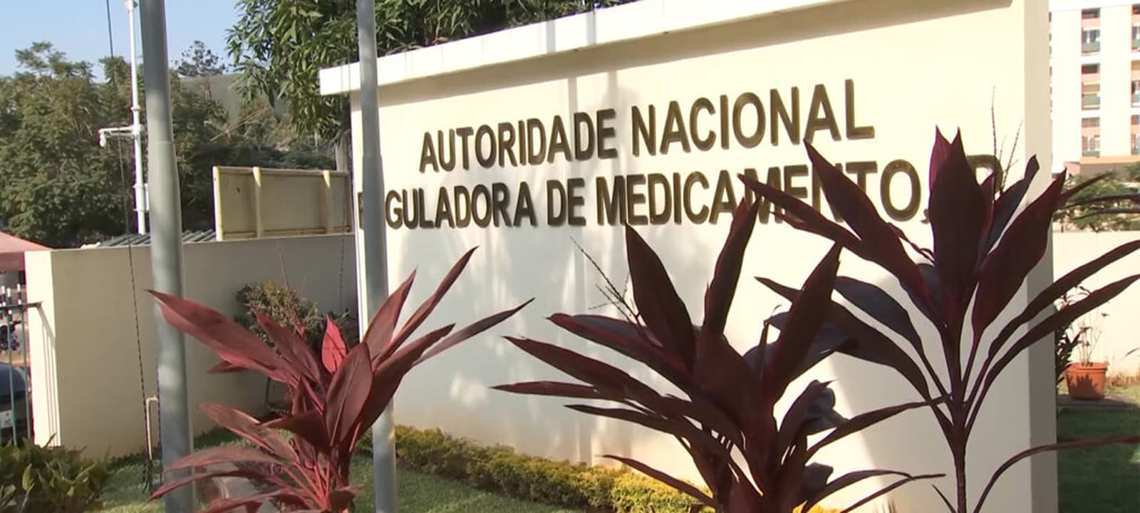 ANARME aposta na descentralização para travar o crime farmacêutico em