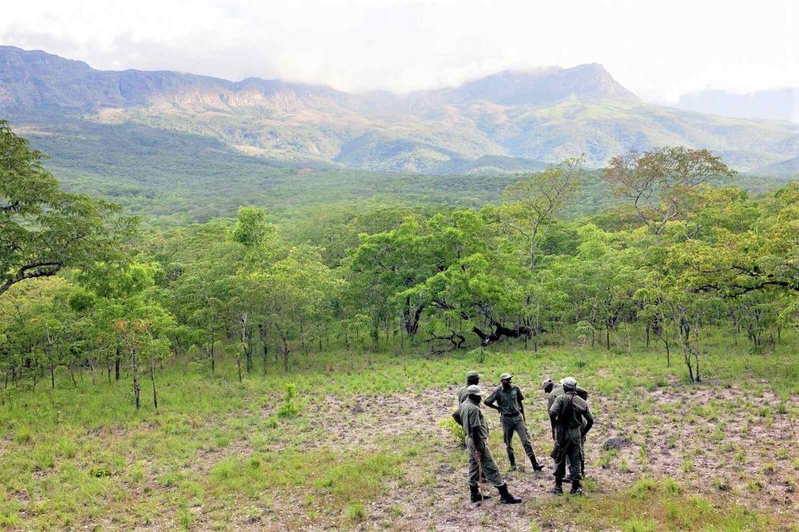 Alemanha concede 40 M€ para projecto de fiscalização das áreas