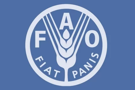 FAO e PMA apelam ao reforço de investimentos antecipados para