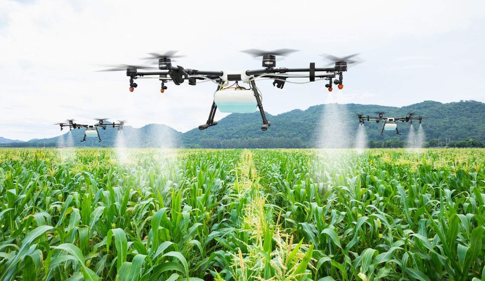 Go To Market: Portugal pretende formar jovens moçambicanos em tecnologia