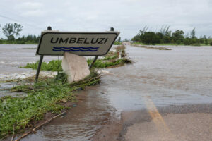 Há suspeitas de ocorrência de algas nas bacias do Umbelúzi