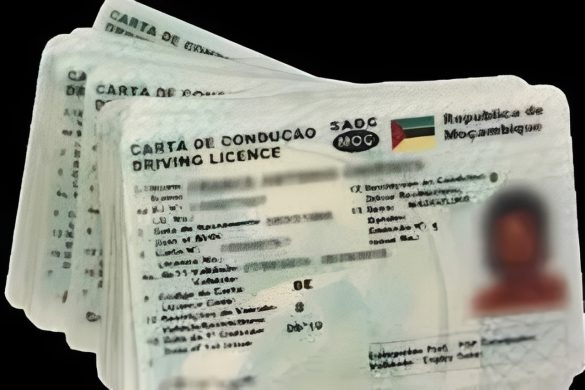 INATRO em campanha de emissão de cartas de condução em