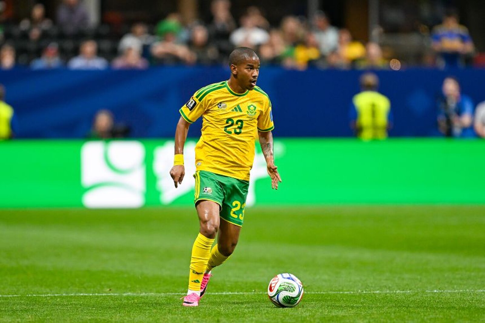 Jogador sul africano Jayden Adams morre aos 25 anos após participação