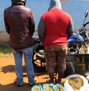 Manicaː Dois indivíduos detidos com 80 kg de suruma