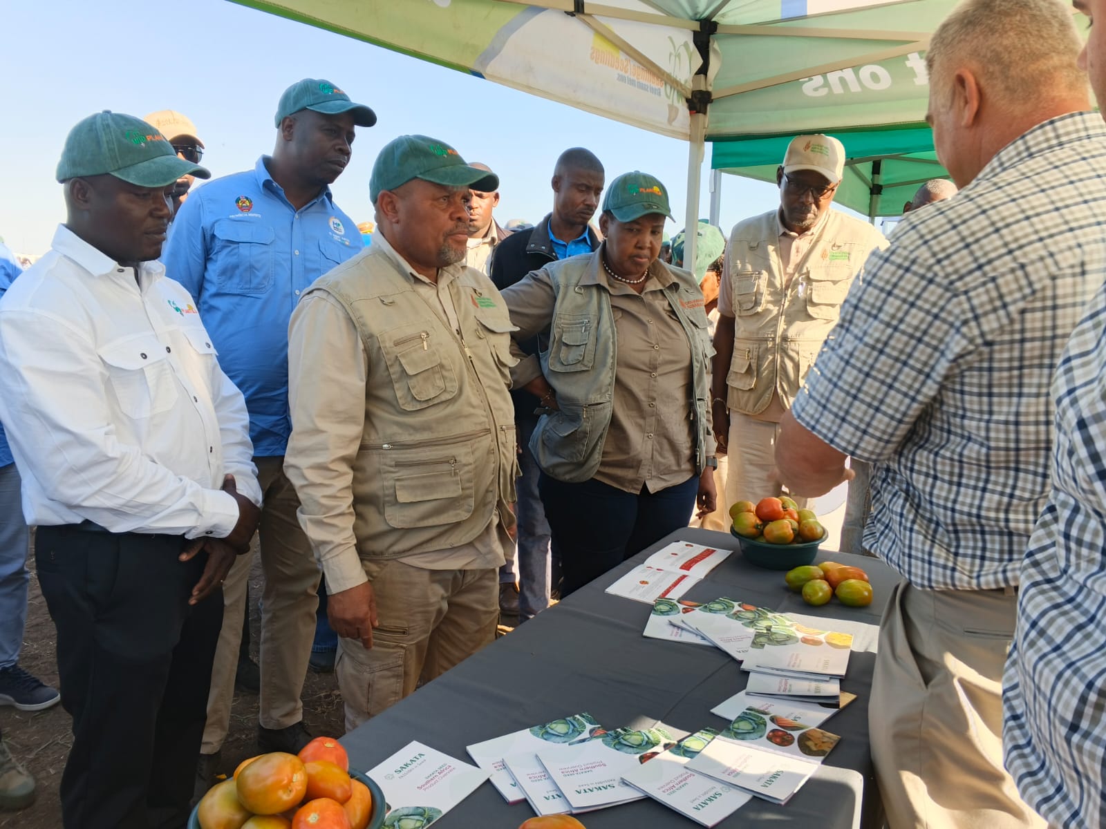 Moçambique quer deixar de importar hortícolas até final de