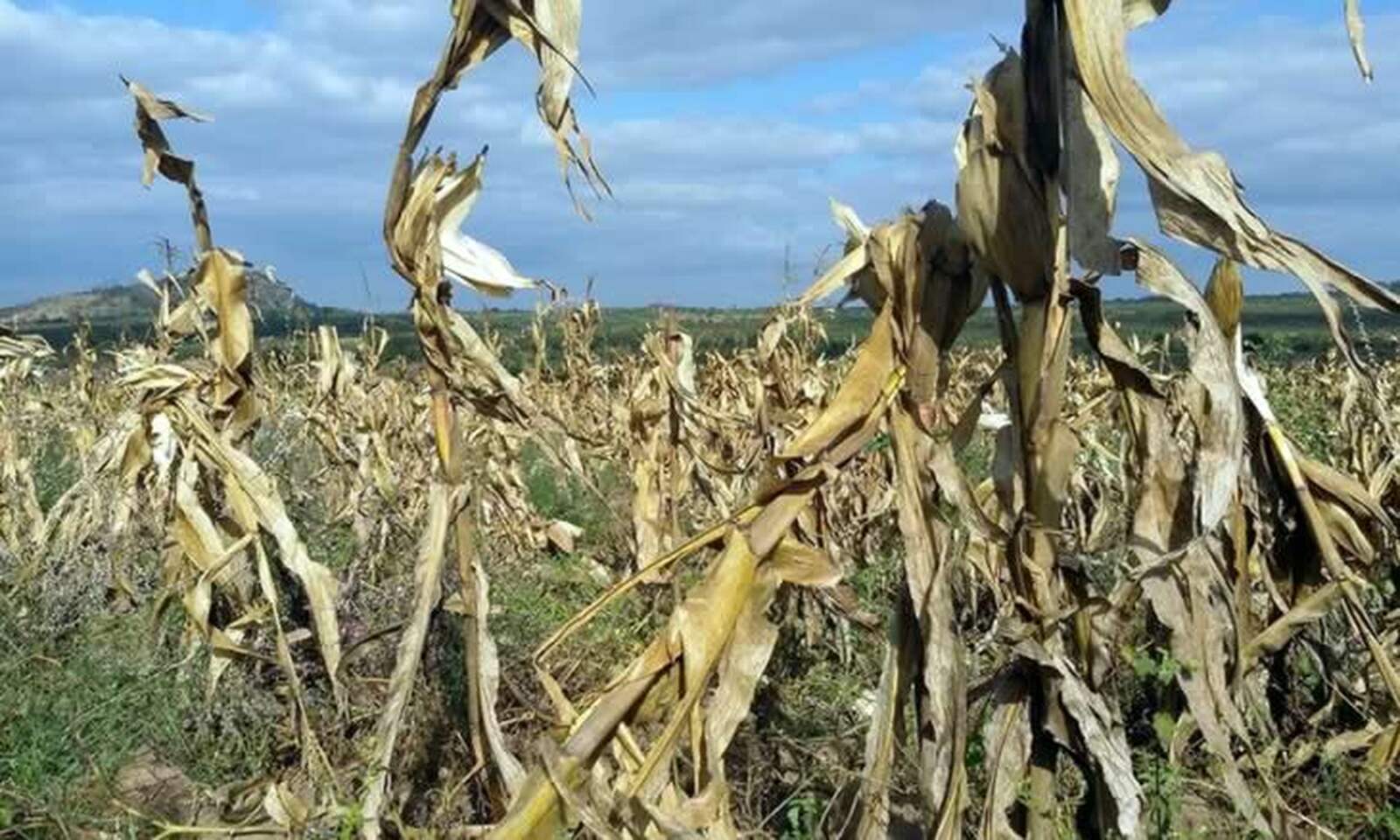 Moçambique recebe financiamento de 202 M$ para mitigação do fenómeno