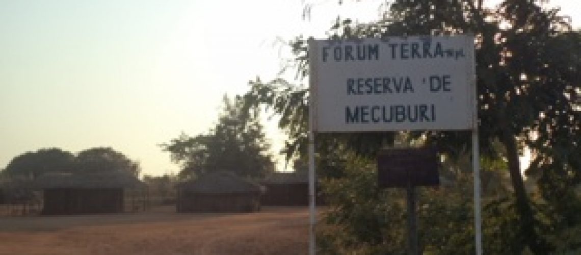 Reserva Florestal de Mecubúri será ajustada para responder à ocupação