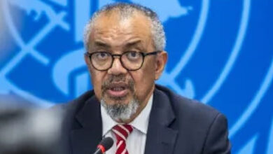 RDC: OMS alerta para rápida propagação do surto de Ébola - O País