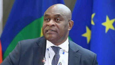 África do Sul pede a países africanos reembolso de custos de repatriamento de migrantes - O País