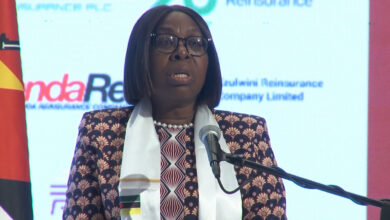 Governo defende mercado segurador mais sólido e resiliente - O País
