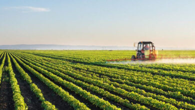 Moçambique quer investir 1.400 milhões para mais produtividade agrícola - O País