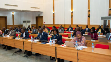 Moçambique e Índia discutem mecanismos para reforço da cooperação - O País
