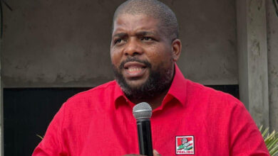 Secretário da Frelimo sublinha necessidade de consolidar a visão estratégica da governação - O País