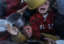 Fome ameaça 1 milhão de deslocados na Faixa de Gaza - O País