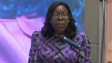 Benvinda Levi apela à modernização dos sistemas eleitorais da SADC - O País