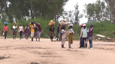 Governo de Chókwè suspende Comissão de distribuição de insumos agrícolas em Lionde após queixas de desmandos - O País