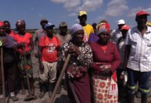 Chuvas causam perdas em mais de dois mil hectares de culturas no distrito do Limpopo - O País