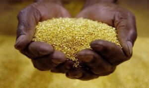 Manica regista queda na produção de ouro devido à suspensão
