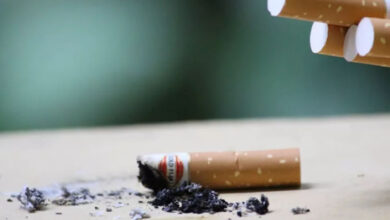 Produção de tabaco cresce em África e OMS alerta para riscos à saúde e ao ambiente - O País