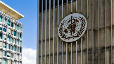 OMS espera distribuir em Outubro três vacinas contra Ébola - O País