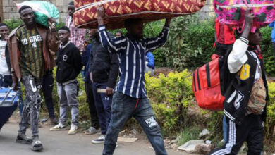 Quénia esclarece regras para negócios com estrangeiros após ordem de Ruto gerar pânico - O País