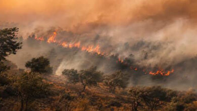 Amnistia Internacional pede à Argélia que abandone planos de pena de morte por incêndios florestais - O País