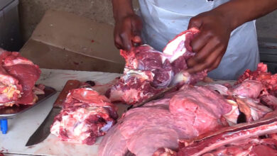 Produtores e Comerciantes de carne acusam agentes da PRM, SERNIC e veterinários de extorsão em Chókwè - O País