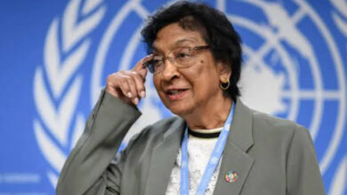 Jurista sul-africana ganha projecção internacional na defesa da justiça - O País