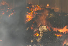 Incêndio destrói supermercado e armazéns no Zimpeto - O País